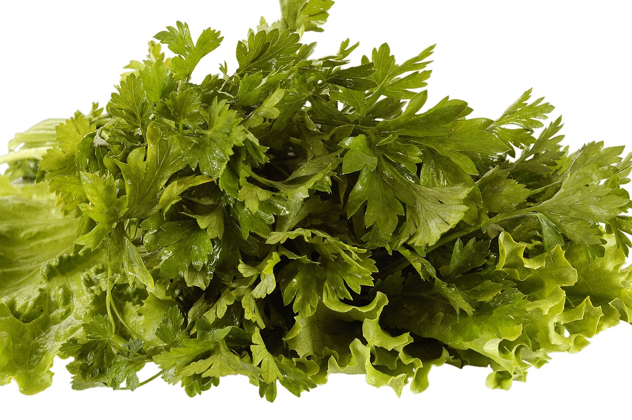 About us - agriculture, calories, cell, chlorophyll, diet, dish, eat, flora, floral, food, fresh, garden, green, healthful, healthy, leaf, leafy, nature, organic, photosynthesis, plant, salad, vegetable, vegetarian